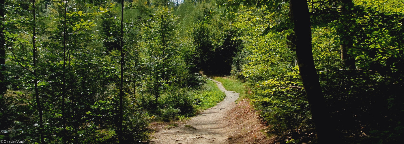 AOK-Cross-Parcours Kohlbruck