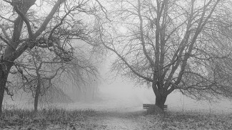 Neuburger Wald bei Kohlbruck