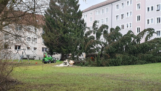 Spitalhofstr. bei mir um die Ecke ....