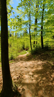neuburger wald - aok-cross-parcour