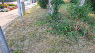 bushalte westerburgerstr. stadteinwärts