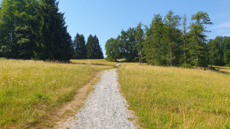 Nähe Kohlbruck
