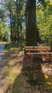 Neuburger Wald