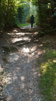 Kohlbruck AOK-Cross-Parcours