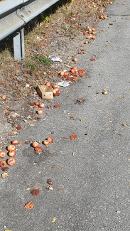 "Lost Äpfel" ...